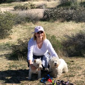 Meet your Posher, Robin